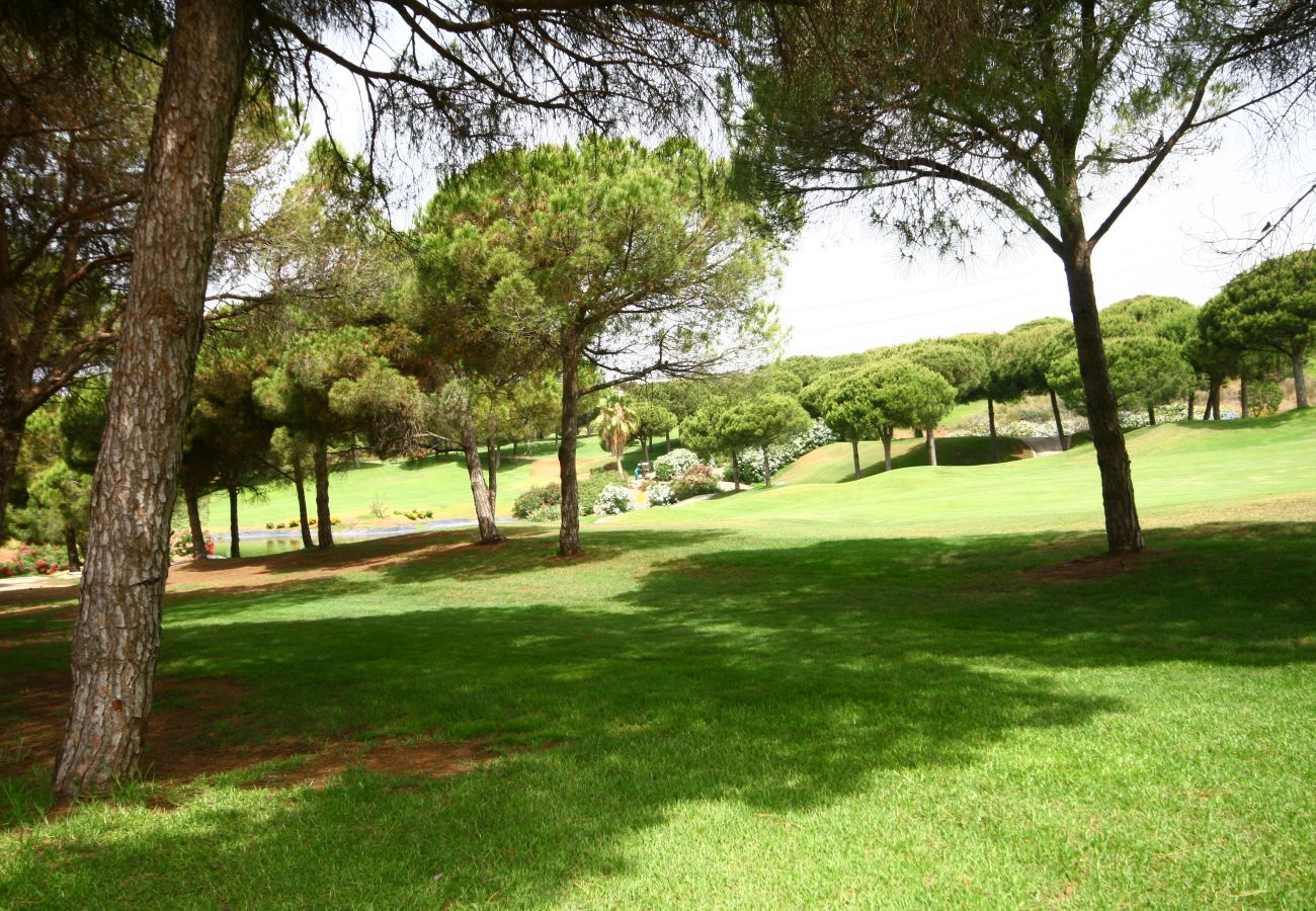 Apartamento en Marbella - Apartamento de dos habitaciones en alquiler en el puerto de Cabopino