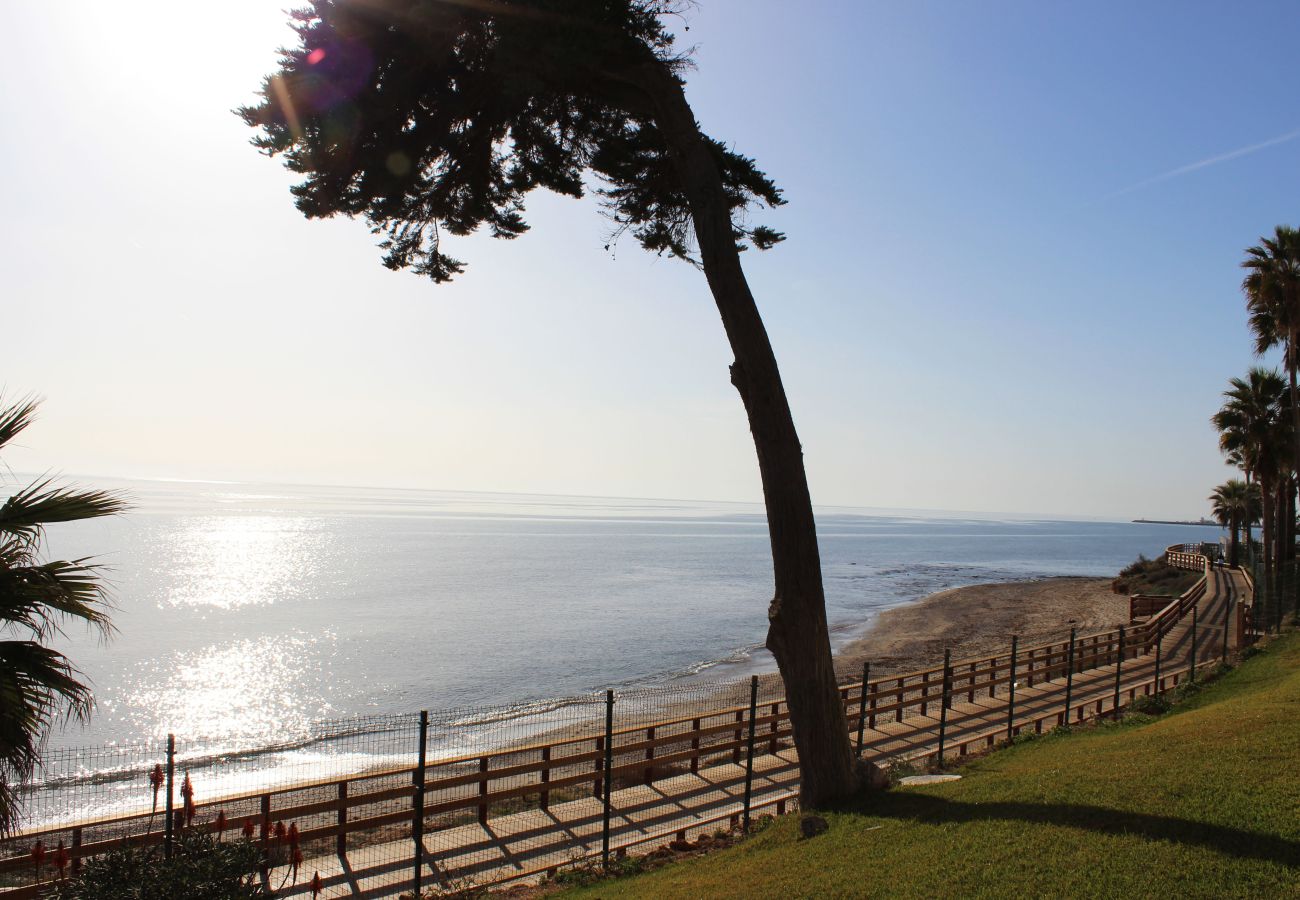 Apartamento en Mijas Costa - Apartamento de 2 dormitorios en la playa Algaida Calahonda