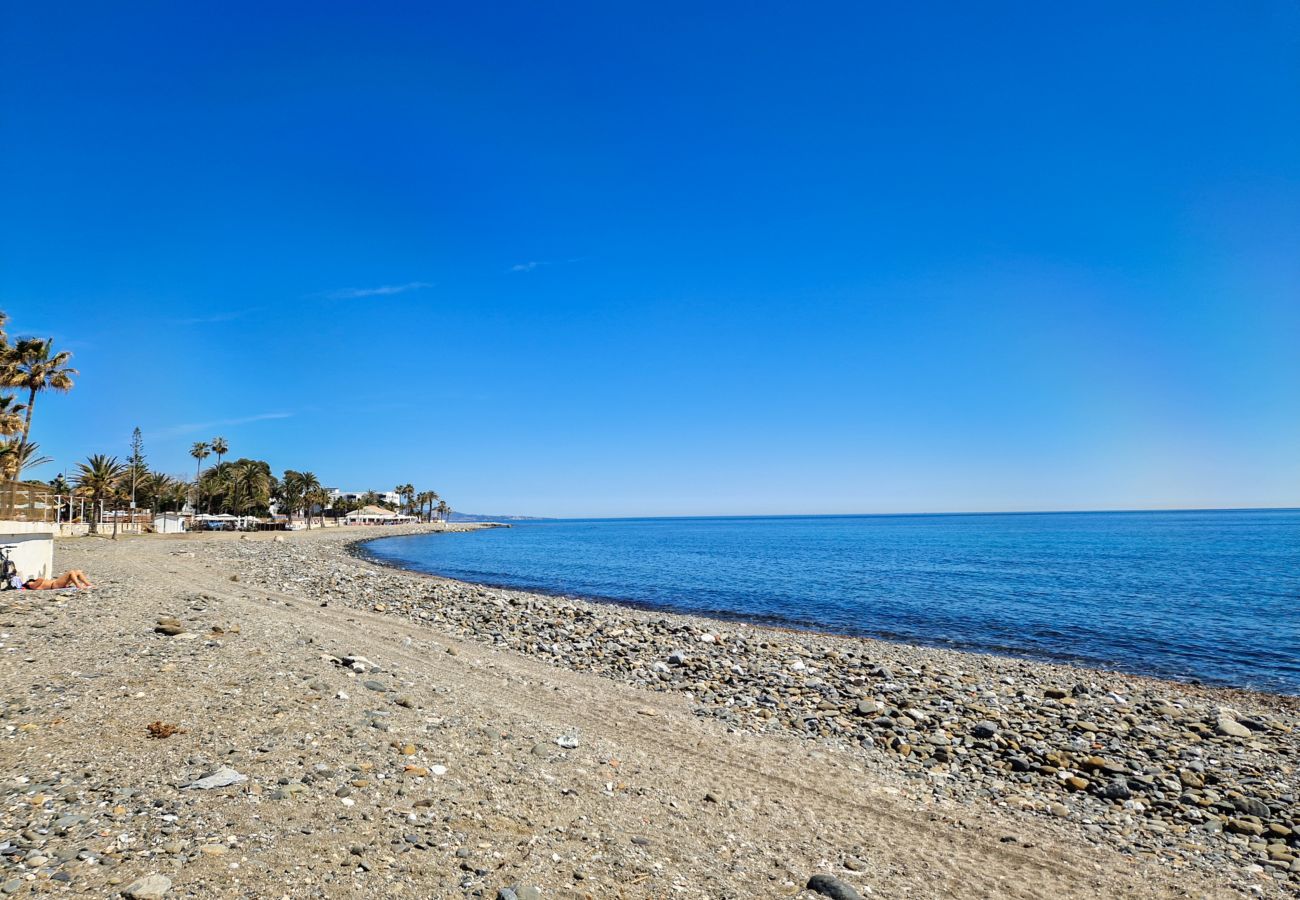 Apartment in San Pedro de Alcántara - Beach front 3 bedroom apartment in San Pedro 