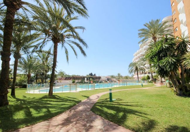 Apartment in Marbella - One bedroom apartment in Marbesa  Apartment in Marbella - One bedroom apartment in Marbesa