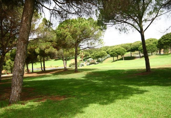 Apartment in Marbella - One bedroom apartment in Marbesa  Apartment in Marbella - One bedroom apartment in Marbesa