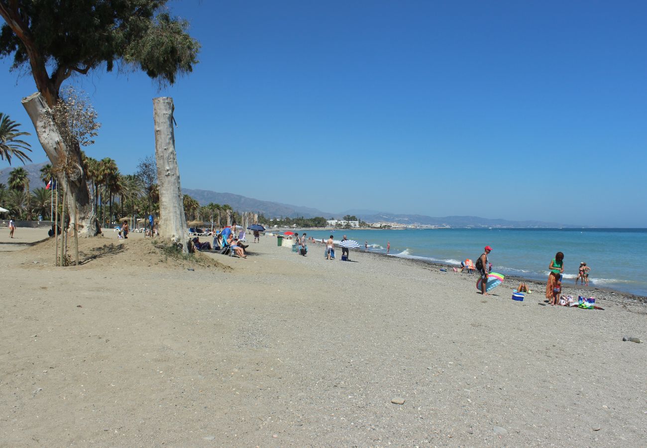Apartment in Marbella - Spacious Modern Penthouse Guadalmina, San Pedro 