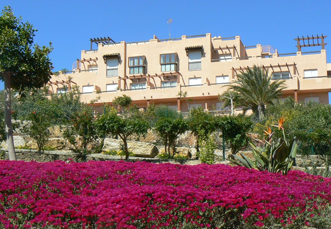 Apartment in Casares - Two Bedroom Apartment in Casares del Sol Estepona Apartment in Casares - Two Bedroom Apartment in Casares del Sol Estepona