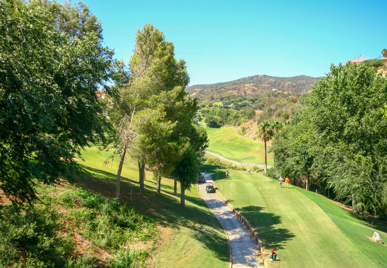 Apartment in Marbella - Two Bedroomed apartment to rent in Elviria Marbella