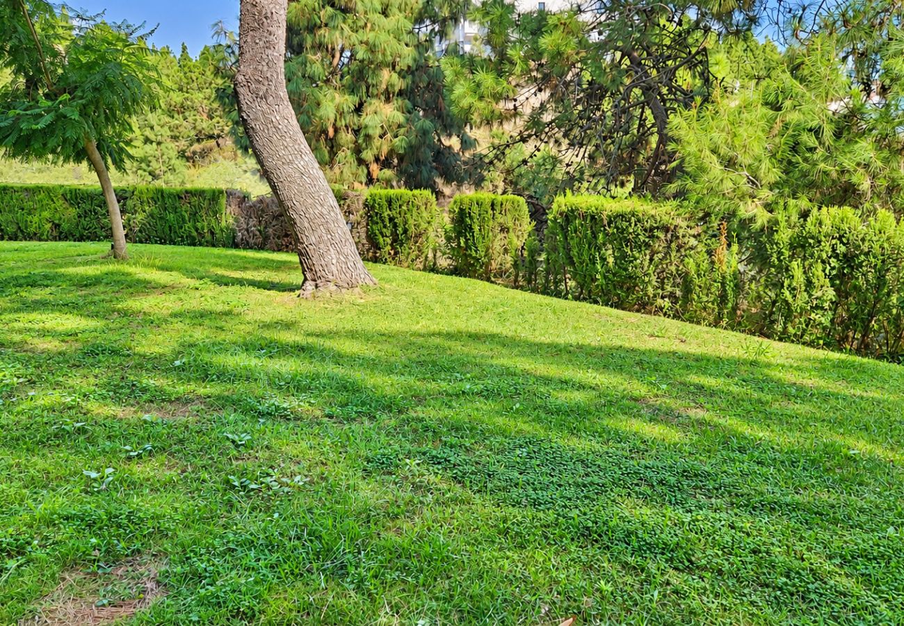 Apartment in Mijas Costa - One bedroom apartment with communal pool